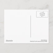Shasta Daisies II Briefkaart (Achterkant)