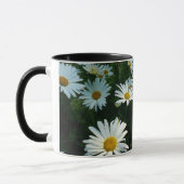Shasta Daisies II Mok (Links)