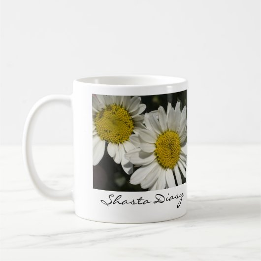 Shasta Daisies Mok (Links)