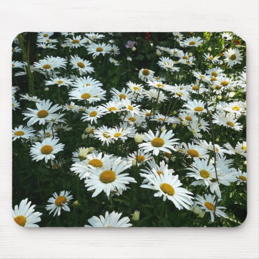 Shasta Daisies Muismat (Voorkant)