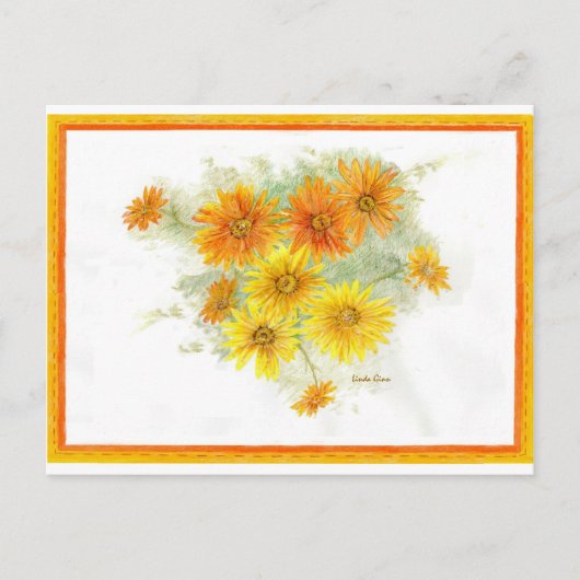 Shasta Daisies na de regen Briefkaart (Voorkant)