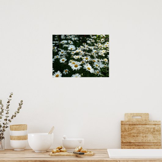 Shasta Daisies Poster (Keuken)