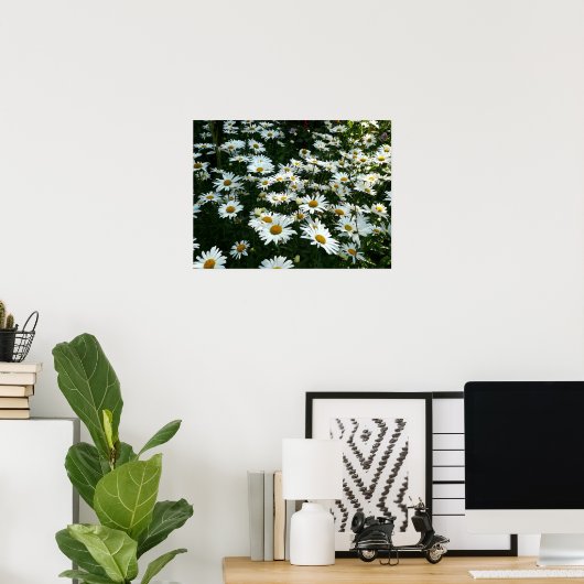 Shasta Daisies Poster (Thuiskantoor)