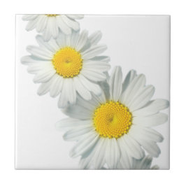 Shasta Daisies Tegeltje