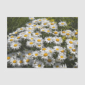 Shasta Daisies Tissuepapier (Voorkant)