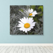 Shasta Daisies verpakt canvas Afdruk (Insitu (Houten vloer))