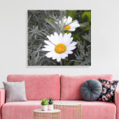 Shasta Daisies verpakt canvas Afdruk (Insitu (Woonkamer))