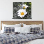 Shasta Daisies verpakt canvas Afdruk (Insitu (Slaapkamer))