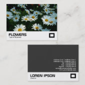 Shasta Daisies Visitekaartje (Voorkant / Achterkant)