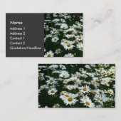 Shasta Daisies Visitekaartje (Voorkant / Achterkant)