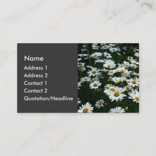 Shasta Daisies Visitekaartje (Voorkant)