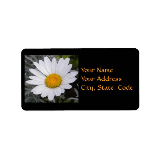 Shasta Daisy Adresetiketten Etiket (Voorkant)