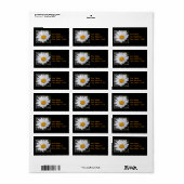 Shasta Daisy Adresetiketten Etiket (Full Sheet)