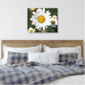Shasta Daisy (Chrysanthemum maximum) Canvas Afdruk (Insitu (Slaapkamer))