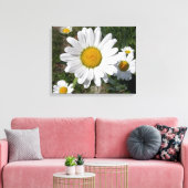 Shasta Daisy (Chrysanthemum maximum) Canvas Afdruk (Insitu (Woonkamer))