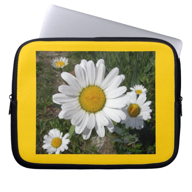 Shasta Daisy (Chrysanthemum maximum) Laptop Sleeve (Voorkant)