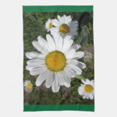 Shasta Daisy (Chrysanthemum maximum) Theedoek (Verticaal)