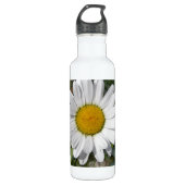 Shasta Daisy (Chrysanthemum maximum) Waterfles (Voorkant)