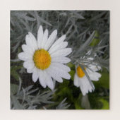 Shasta Daisy Flowers en Artemisia Legpuzzel (Horizontaal)