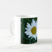Shasta Daisy Koffiemok (Voorkant links)