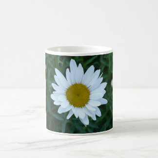 Shasta Daisy Koffiemok