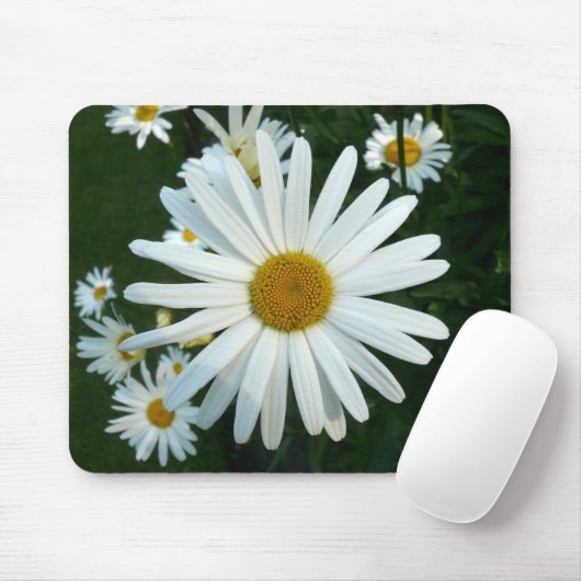 Shasta Daisy Muismat (Met muis)