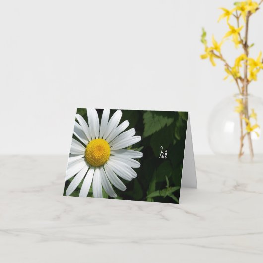 Shasta Daisy Note Cards Kaart (Gele Bloem)