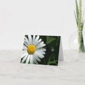 Shasta Daisy Note Cards Kaart (Voorkant)