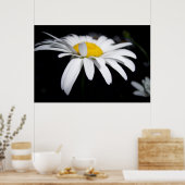 Shasta Daisy Photography Poster (Keuken)