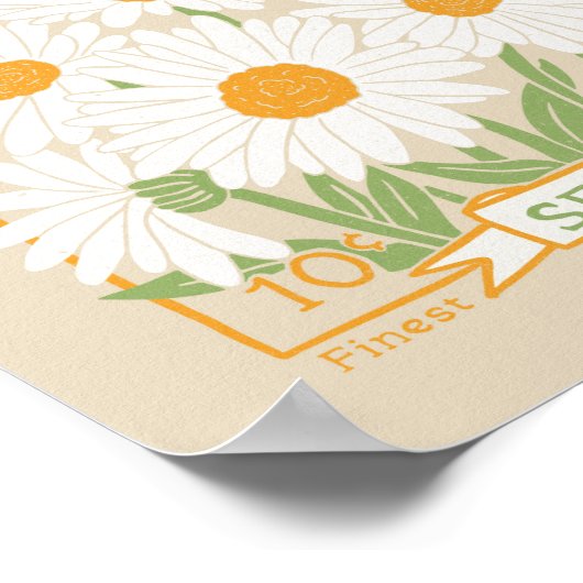 Shasta Daisy Poster (Hoek)