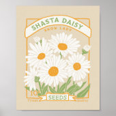 Shasta Daisy Poster (Voorkant)