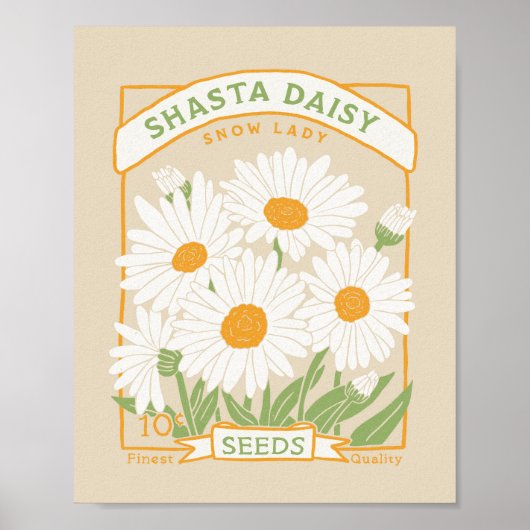 Shasta Daisy Poster (Voorkant)