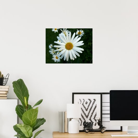 Shasta Daisy Poster (Thuiskantoor)