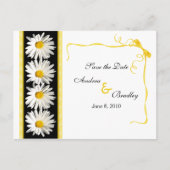 Shasta Daisy Save the Date Briefkaart (Voorkant)