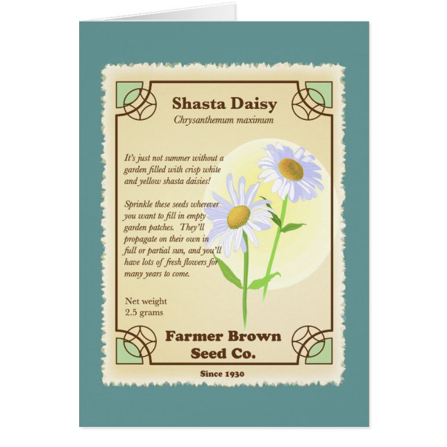 Shasta Daisy Seed Packet (Voorkant)