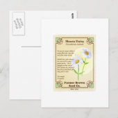 Shasta Daisy Seed Packet Briefkaart (Voorkant / Achterkant)