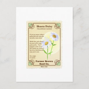 Shasta Daisy Seed Packet Briefkaart