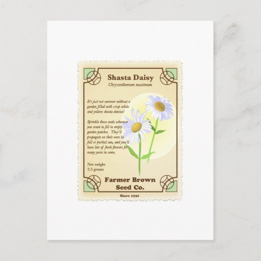Shasta Daisy Seed Packet Briefkaart (Voorkant)