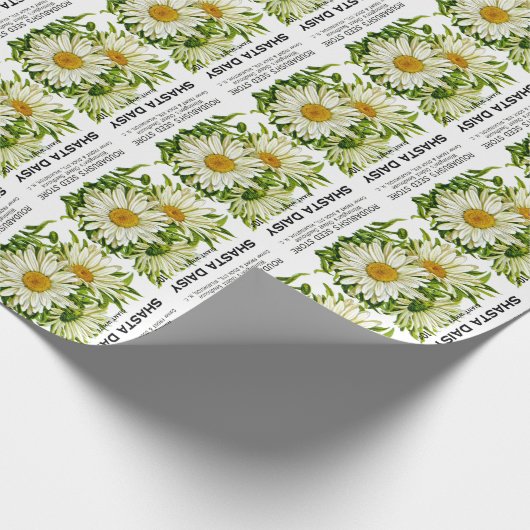 Shasta Daisy  Seed Packet Cadeaupapier (Hoek)