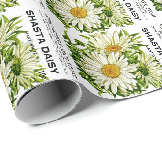 Shasta Daisy  Seed Packet Cadeaupapier (Rol Hoek)