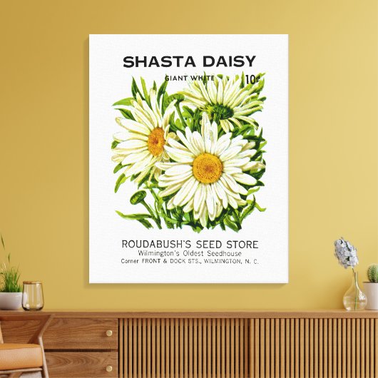 Shasta Daisy Seed Packet Canvas Afdruk (Insitu (Woonkamer))
