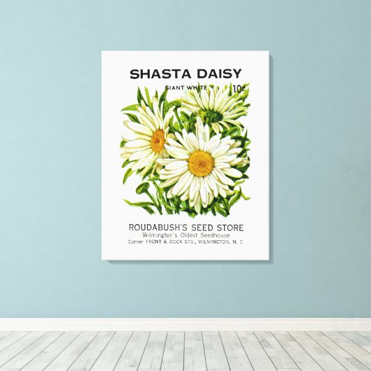 Shasta Daisy Seed Packet Canvas Afdruk (Insitu (Houten vloer))