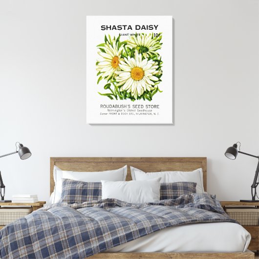 Shasta Daisy Seed Packet Canvas Afdruk (Insitu (Slaapkamer))