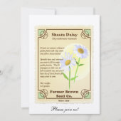 Shasta Daisy Seed Packet Kaart (Voorkant)