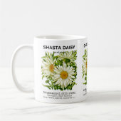Shasta Daisy  Seed Packet Koffiemok (Links)