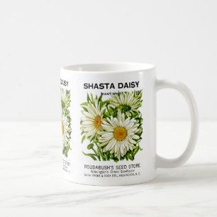 Shasta Daisy  Seed Packet Koffiemok