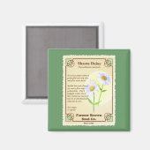 Shasta Daisy Seed Packet Magneet (Voorkant / Achterkant)