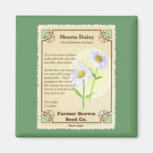 Shasta Daisy Seed Packet Magneet (Voorkant)