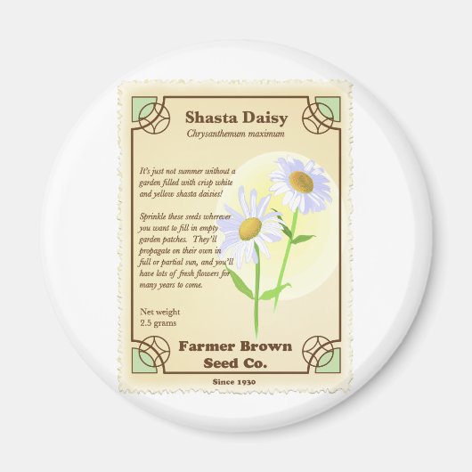 Shasta Daisy Seed Packet Magneet (Voorkant)