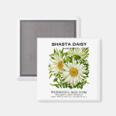 Shasta Daisy  Seed Packet Magneet (Voorkant / Achterkant)